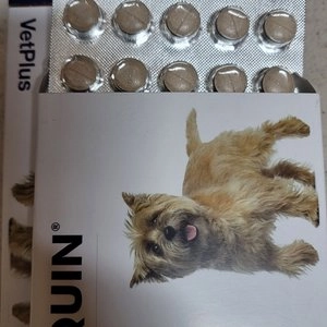 벳플러스 사이노퀸 소형견용 타블릿 30정 베스트 후기 이미지