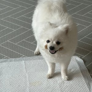 베스트 후기 이미지