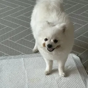 베스트 후기 이미지