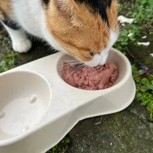 베스트 후기 이미지