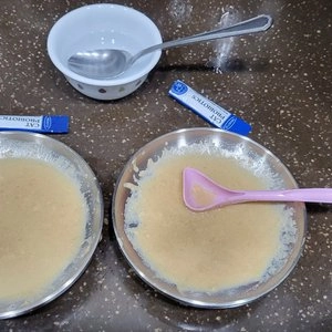 카루 캣 클래식 연어&칠면조 스튜 멀티팩 4개입 베스트 후기 이미지