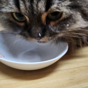 베스트 후기 이미지