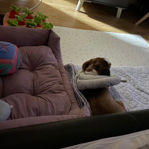 베스트 후기 이미지