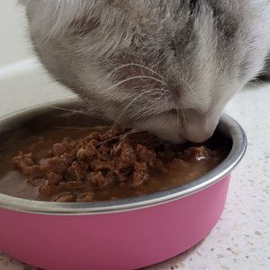 베스트 후기 이미지