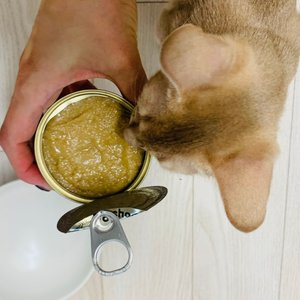 베스트 후기 이미지