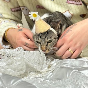 베스트 후기 이미지