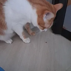 베스트 후기 이미지