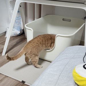 베스트 후기 이미지