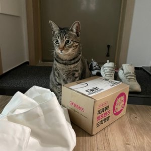 베스트 후기 이미지