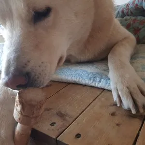 베스트 후기 이미지