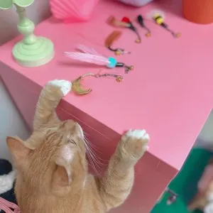 베스트 후기 이미지