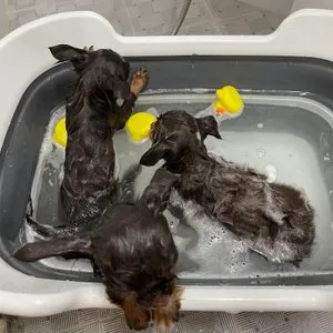 베스트 후기 이미지