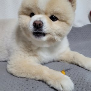 베스트 후기 이미지