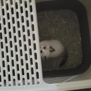 베스트 후기 이미지