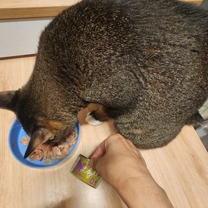 베스트 후기 이미지