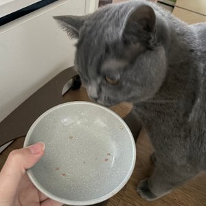 베스트 후기 이미지