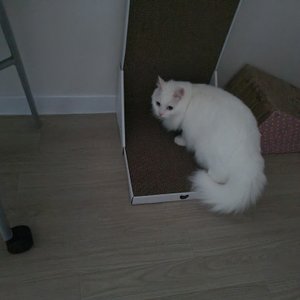 베스트 후기 이미지