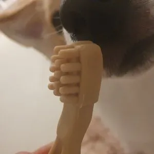 베스트 후기 이미지