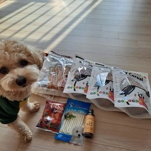 베트랑 우유껌 소가죽 10p 베스트 후기 이미지