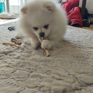 베스트 후기 이미지