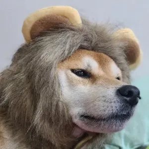 베스트 후기 이미지