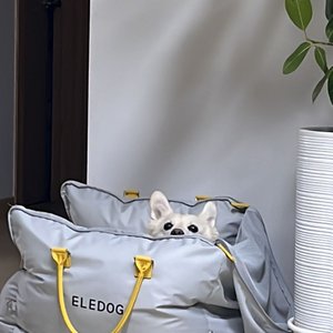 베스트 후기 이미지