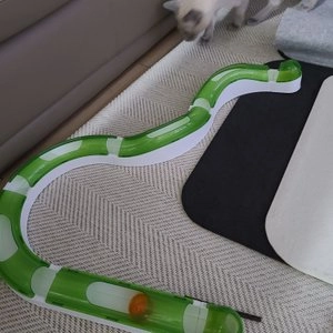 [웰컴딜] 하겐 캣잇 2.0 웨이브 서킷 베스트 후기 이미지