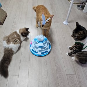 베스트 후기 이미지