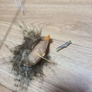 베스트 후기 이미지