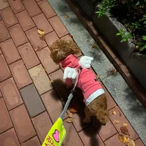 베스트 후기 이미지