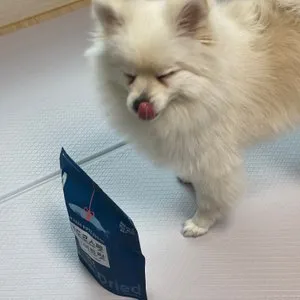 베스트 후기 이미지