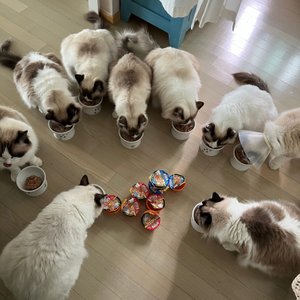 베스트 후기 이미지