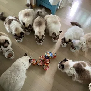 베스트 후기 이미지