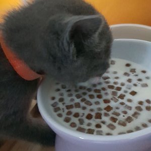 베스트 후기 이미지