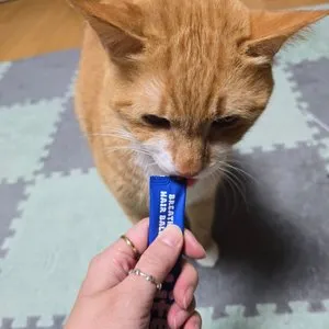 베스트 후기 이미지