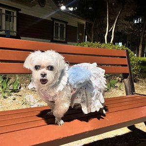 베스트 후기 이미지