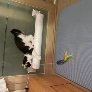 베스트 후기 이미지