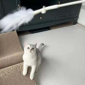 베스트 후기 이미지