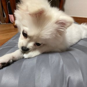 베스트 후기 이미지