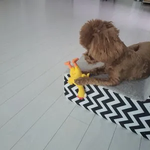 베스트 후기 이미지