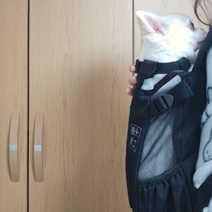 베스트 후기 이미지