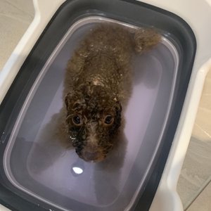 베스트 후기 이미지