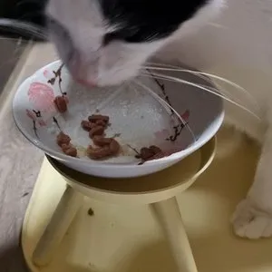 베스트 후기 이미지