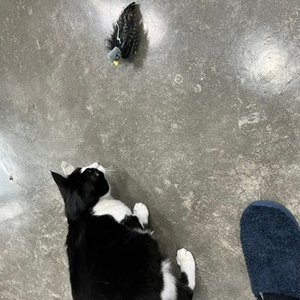 베스트 후기 이미지