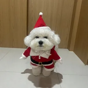 베스트 후기 이미지