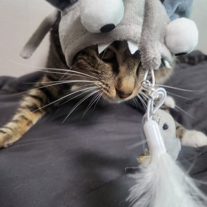 베스트 후기 이미지