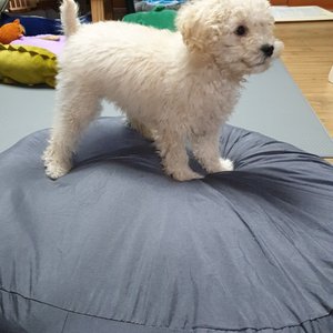 베스트 후기 이미지