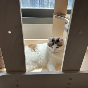 베스트 후기 이미지