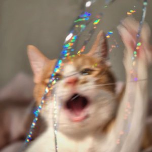 베스트 후기 이미지