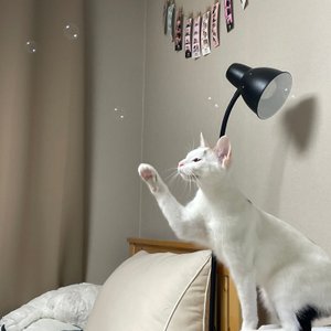 베스트 후기 이미지